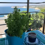 شقة Terrace Mansion 4 Balconies Sea View *