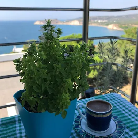 Lejlighed Terrace Mansion 4 Balconies Sea View *